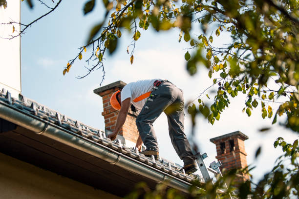 Gutter Replacement in Ridge Wood Heights, FL