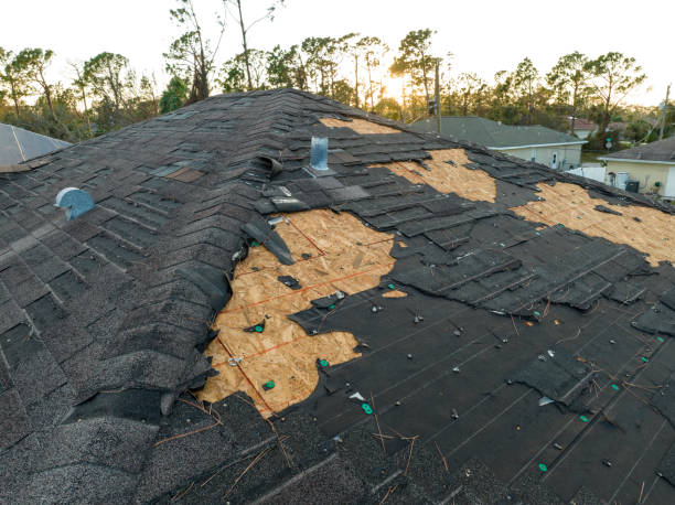 Best Roof Leak Repair  in Ridge Wood Heights, FL