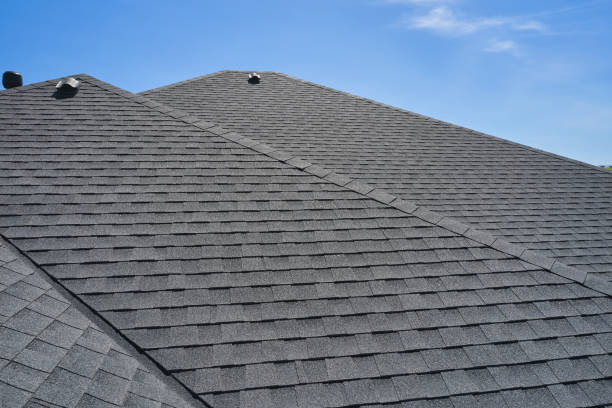 Best Roof Moss and Algae Removal  in Ridge Wood Heights, FL