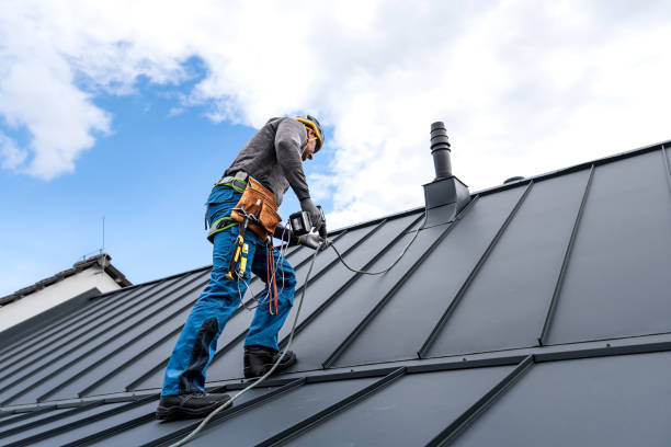 Roof Insulation in Ridge Wood Heights, FL